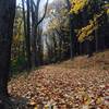 Fall Foliage near Bash Bish Falls