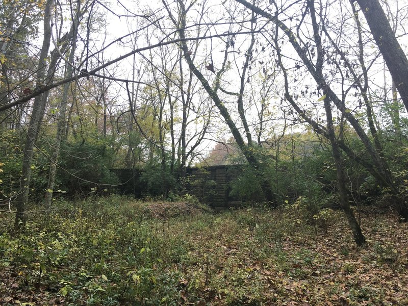 Remains of Old Mill Diversion Wall