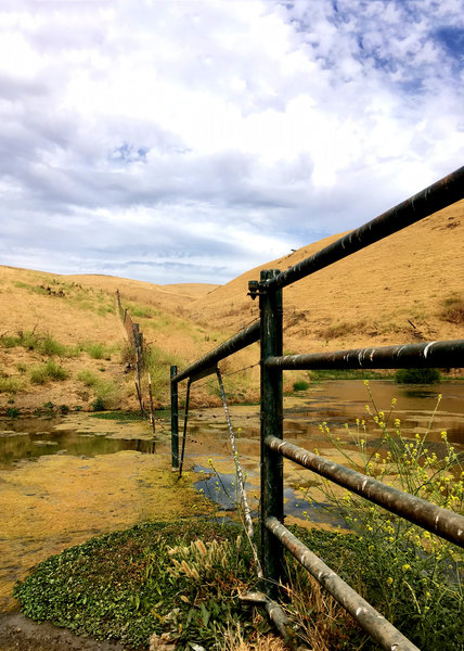 Fenceline up the Tamcan