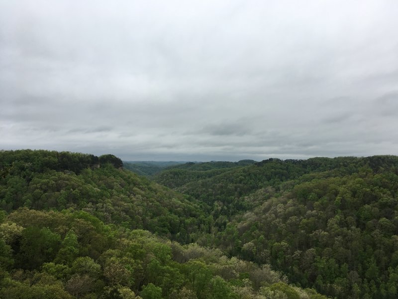 Spaas Creek Overlook off Hatton Ridge