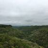 Spaas Creek Overlook off Hatton Ridge