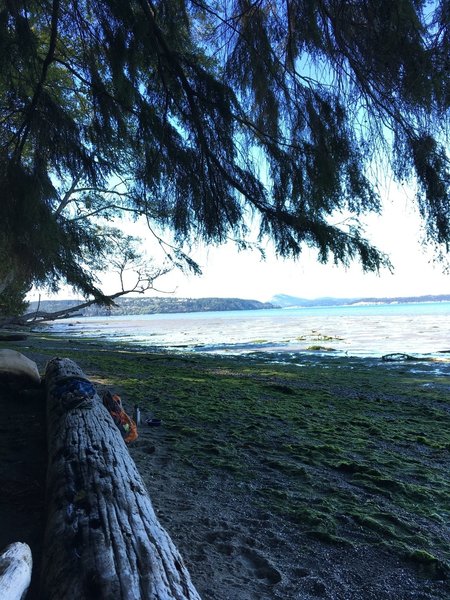 Looking north from the beach.