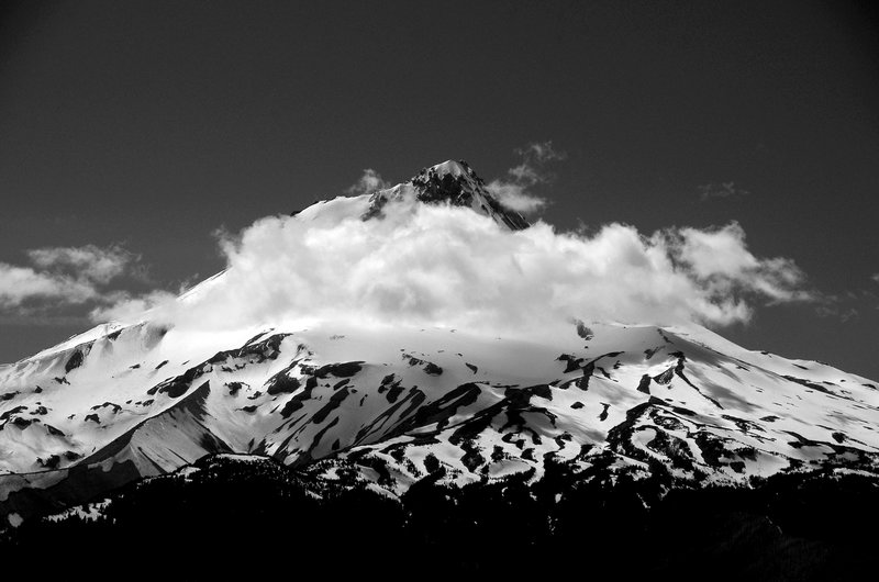 Mount Hood from the Divide Trail