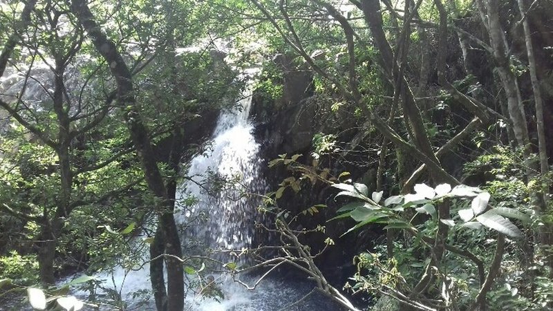 Mangue waterfall.