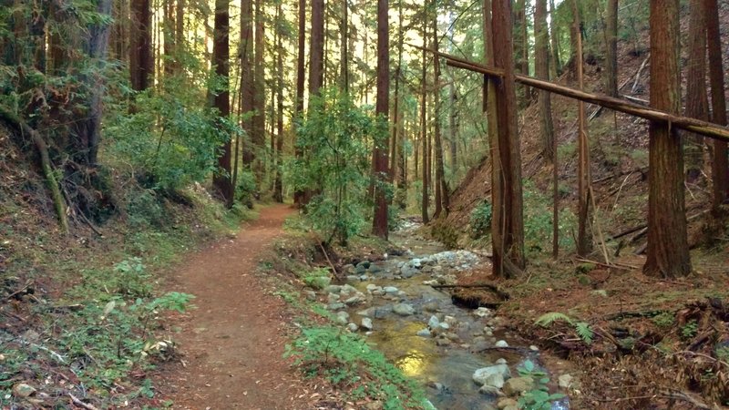 Fall Creek and Fall Creek Trail in the deep Fall Creek Valley with its steep hillsides