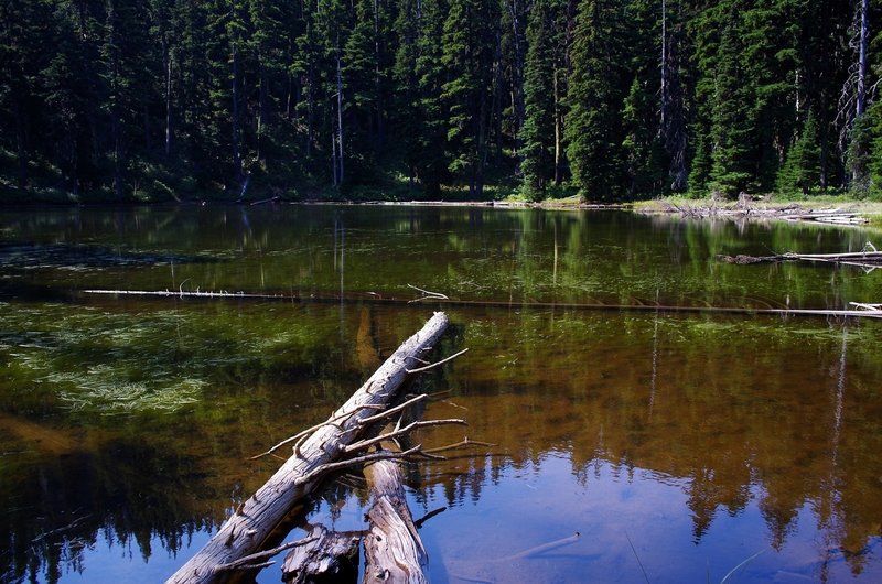 Oval Lake just off the Fret Creek Trail