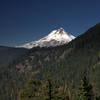 Mount Hood from along the Badger Creek Cutoff Trail