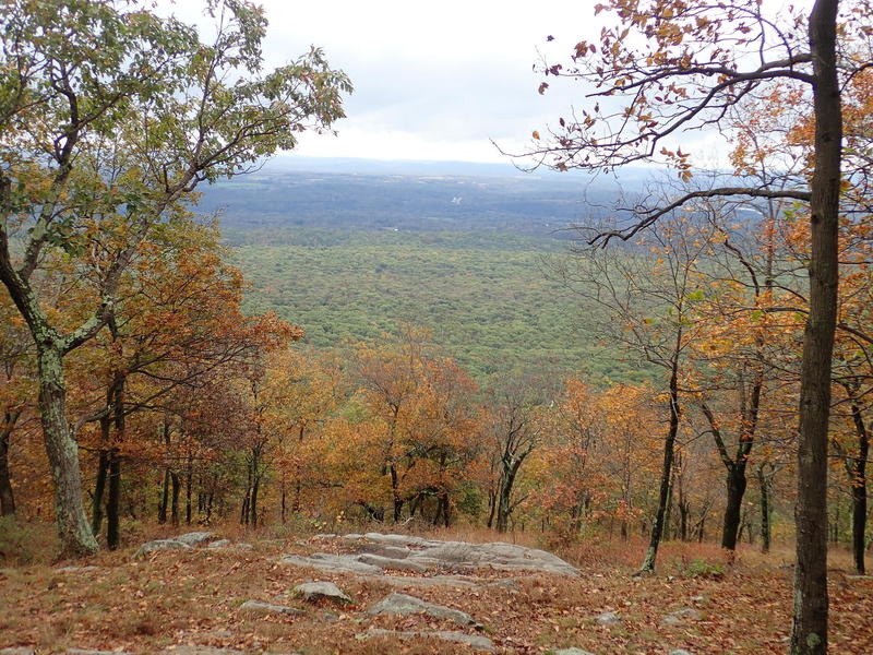 View to southeast from top of Blue Blaze (Blue Dot) Trail