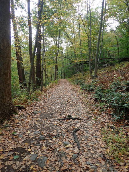 Appalachian Trail