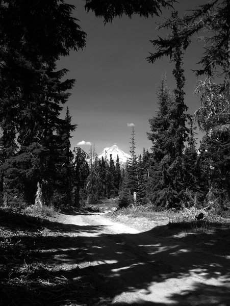 Mount Hood from the Flag Point Road