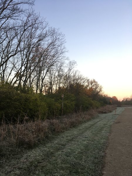 Bird boxes along the margin of the trails.