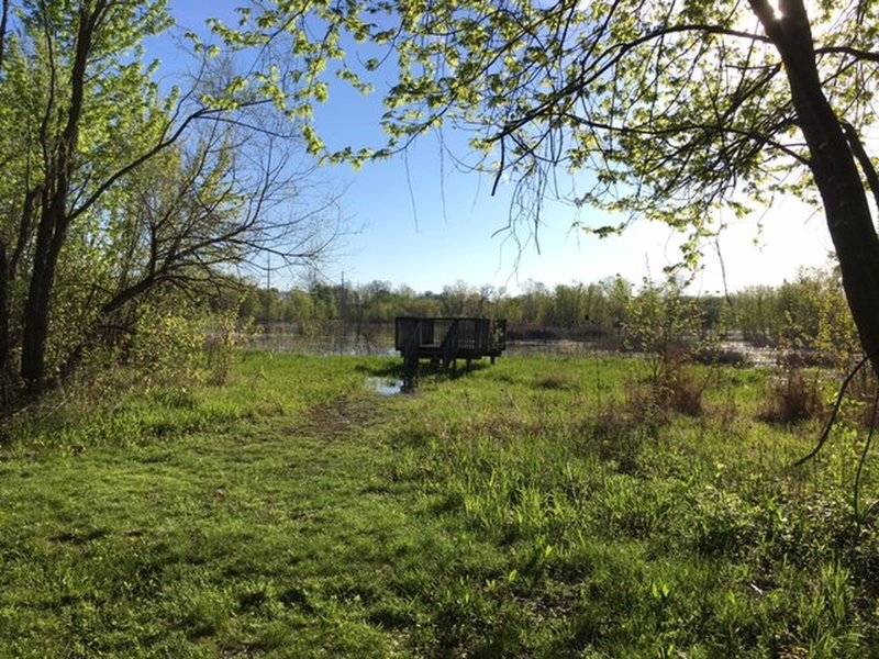 Marsh Observation Platform