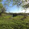 Marsh Observation Platform