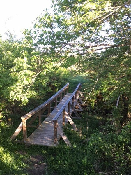 One of the connecting bridges