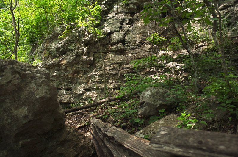 Springfield Nature Walk