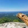 Looking over S. Holston Lake