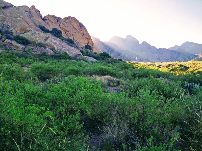 The morning light filtering around the side of La Cueva