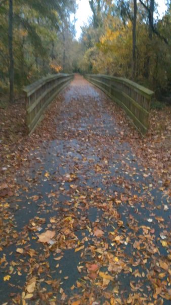 Bridge on Crabtree Creek Trail