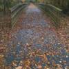 Bridge on Crabtree Creek Trail