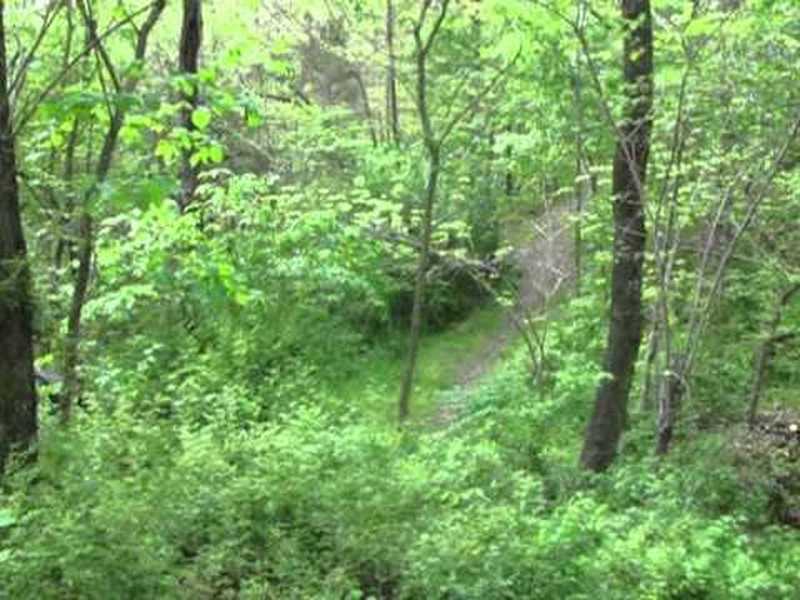 Trail at Fellows Lake.