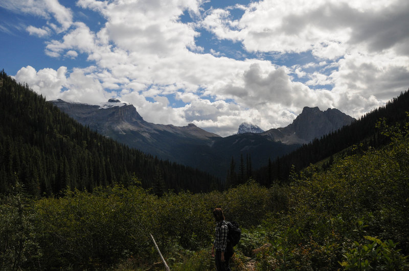 Wapta Mountain and Mount Burgess are clearly visible from Emerald Valley