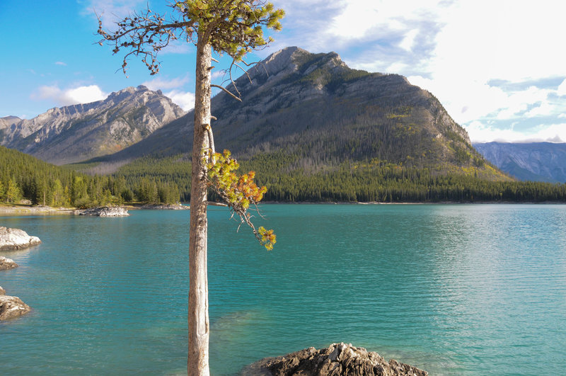 Beautiful views across Lake Minnewanka