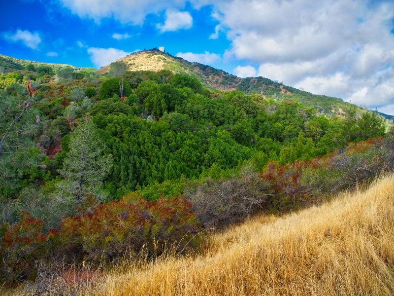 Up ahead is Mt. Umunhum summit