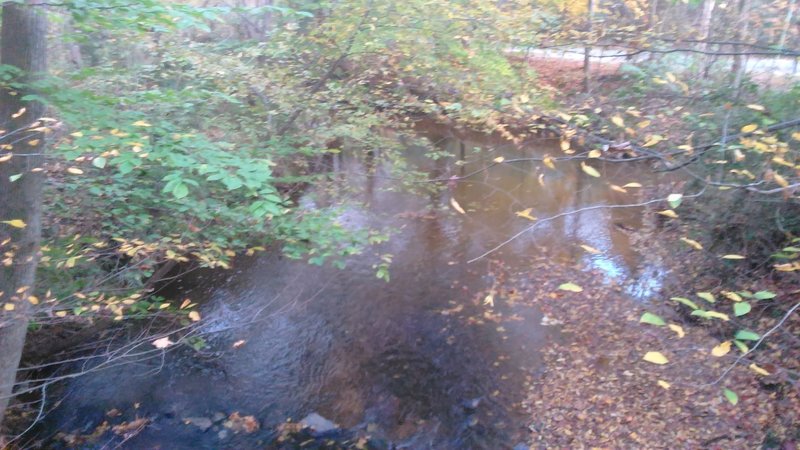 Creek looking toward an unpaved trail to North Hills Drive.