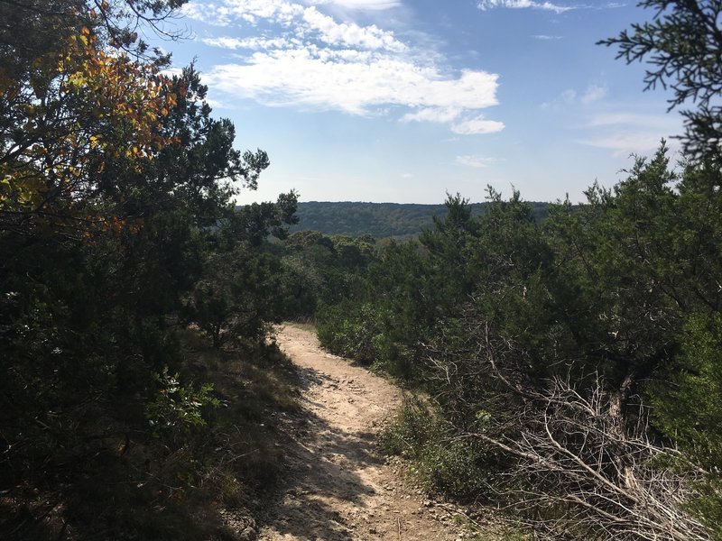 A hilltop view from about halfway on the Restoration Way Loop