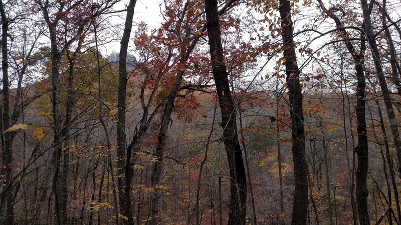 Pilot Mountain viewed from Grassy Ridge Trail