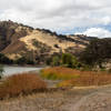 Reed on the east shore of Lake Del Valle