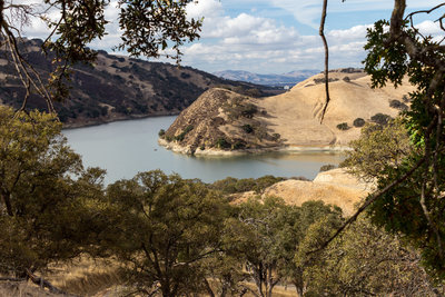 are dogs allowed at del valle regional park