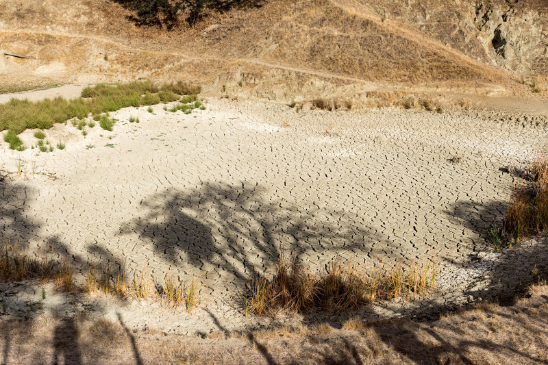 A very dry pond next to Ridgeline Trail