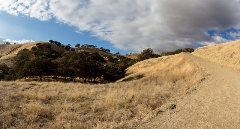 The final ascent on Squirrel Gulch Trail