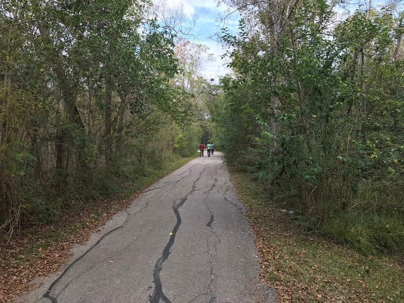 The little-used trails are nice for exercising dogs