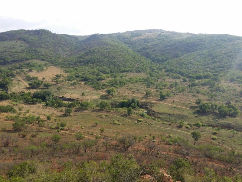 A view from the Dassie Trail lookout point.