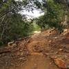 A view from the Dassie Trail.