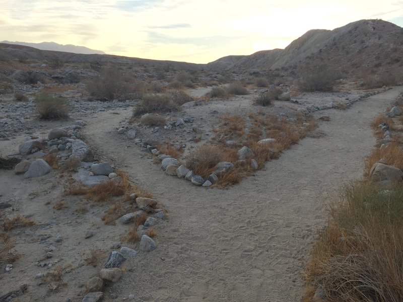 Trail to left takes you through canyon/wash to Pushwalla Palms. Trail to right takes the ridgeline.