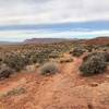 View of the red rocks