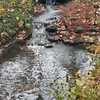 Autumn Waterfall-Woodland Garden at Powell Gardens
