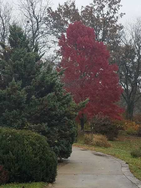 Autumn Color in November-Visitors Center at Powell Gardens