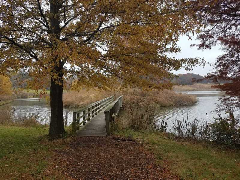 Bridge to Pirate Bay in November-Powell Gardens