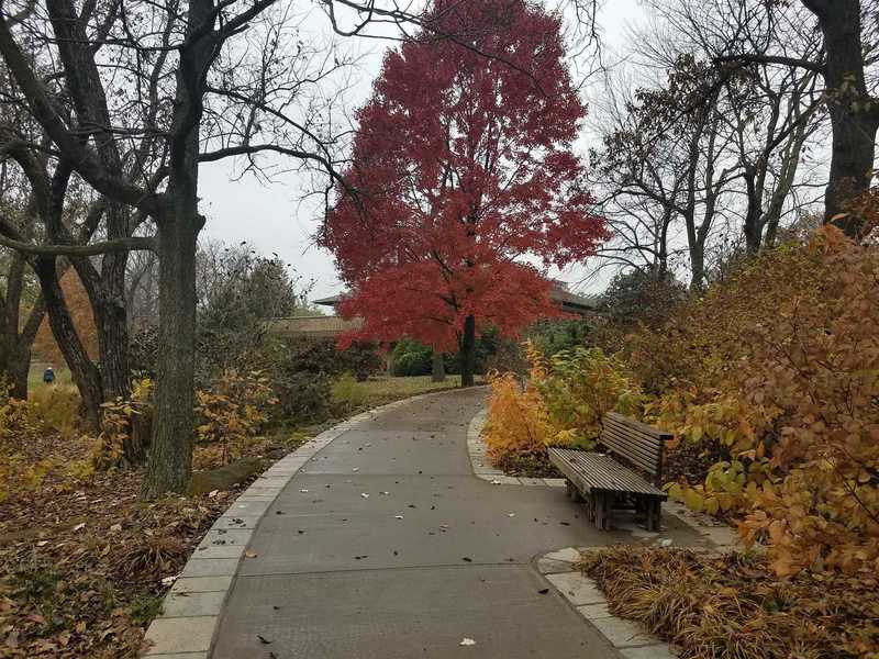 Fall Color in November-Visitor Center at Powell Gardens