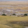 Sheep grazing the edge of the Badlands