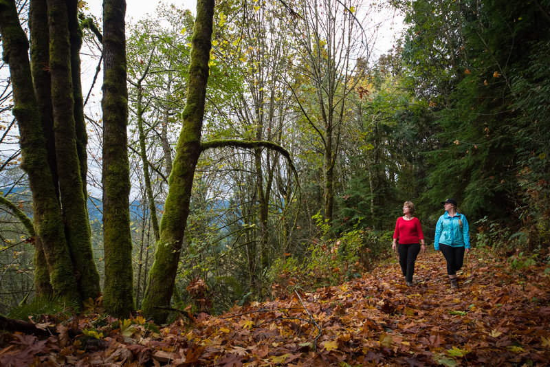 The southern half of the Lookout Loop Trail is more of a road, but there are still some good views along the way.