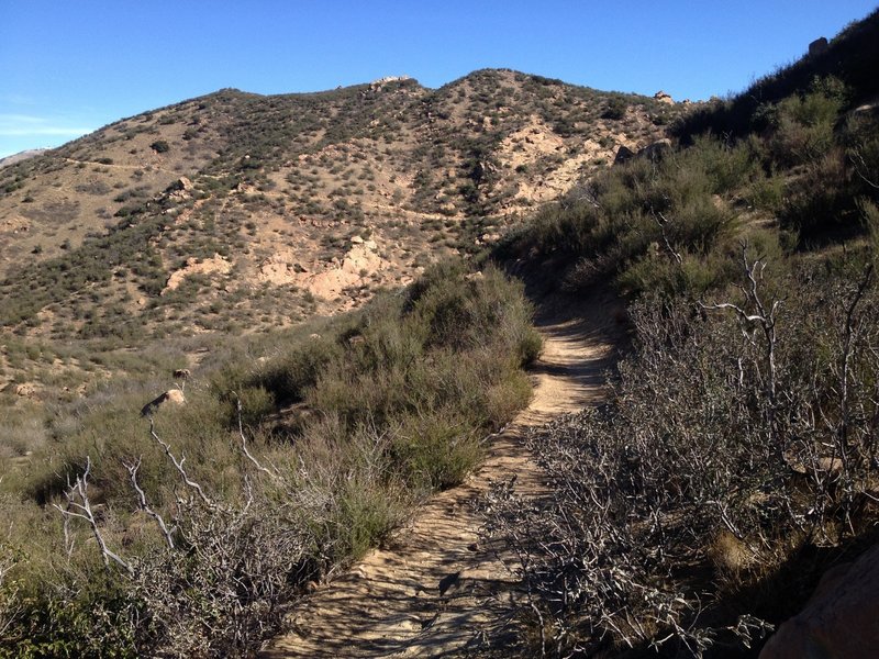 About 2/3 of the way up Chumash.