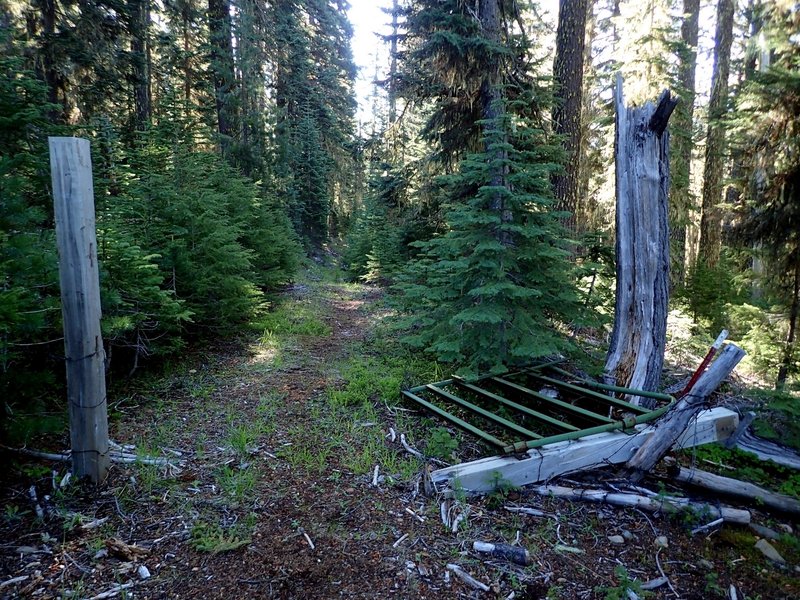 Start of the Bert Creek Trail