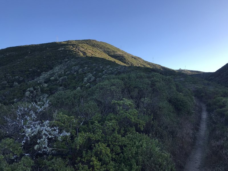 Nice morning light near the top.