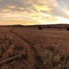 Looking east toward the sunrise, along the South Boulder Creek West trail.