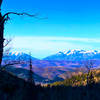 Mt. Timpanogos from upper part of Yellow Pine Trail.